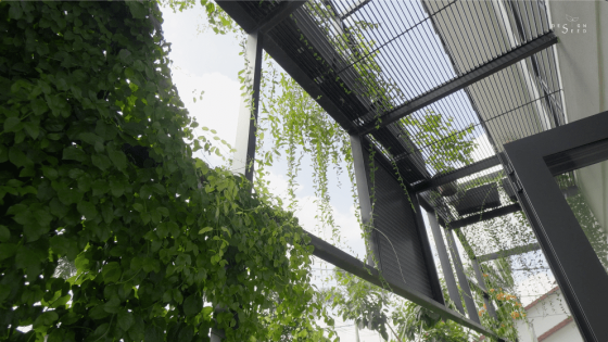 French balcony Greenery
