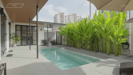 Tropical swimming pool