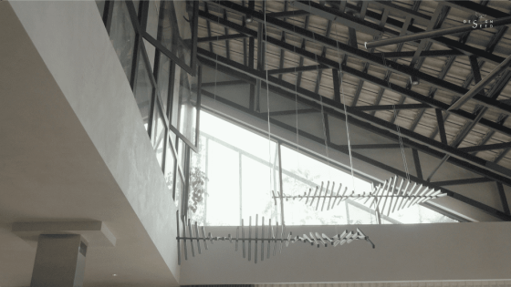 Exposed ceiling Sunlight coming into house Garden house Roof