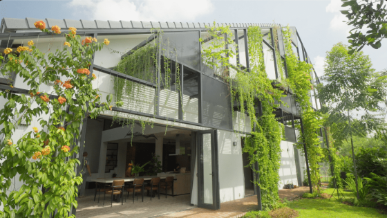 House exterior Garden house Green house