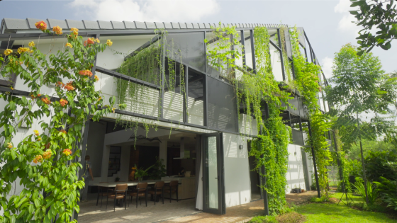 green house house with plants biophilic house nature