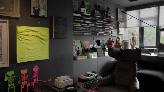 Study Shelves decoration