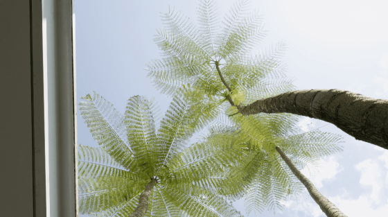 green architecture Ken Yeang design seed swimming pool swimming pool courtyard green house green home architecture living room open plan living room plants greenery