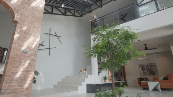 awan kuning terrace house OTCQ Architects green facade plants architecture interior design greenery oscar tan design seed biophilic biophilic house green house staircase living room tree indoor trees greenery