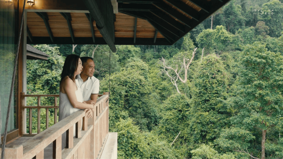 floating treehouse nature forest open to forest house eco friendly green family retreat forest view family home wooden design interior design architecture design seed inch lim inchscape elderly couple retirement home forest retreat