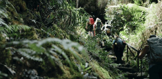 hiking humans nature environmental hobby leisure harmony
