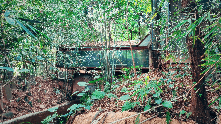 brutalist home china guangdong interior design office forest greenery glass box nature river design environments healing brutalist rough surfaces textures volume light xixi design consulting driveway pond renovation transformation basement living area slanted ceiling angular ceiling incense room driveway landscape fireplace cantilevered staircase chinese chinese designs window meditation room narrow staircase natural light ventilation sunroom alex lee design seed house home house tour family home