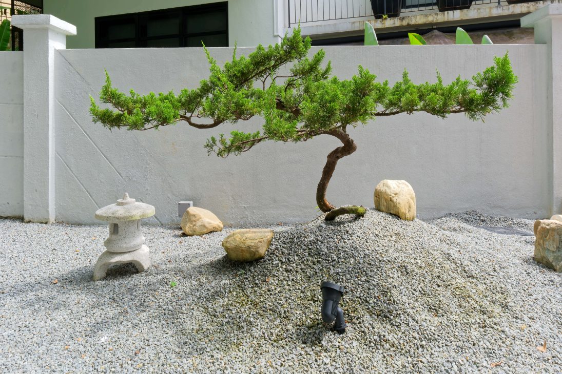 transformation house renovation changes renovation inspo urban garden house tropical concrete house architect architecture oscar tan showcase house tour home tour house inspo unique home climbing wall rock climbing split levels surprises cramped space spaces passions interests facade red facade colour red colour exterior stunning beautiful special aluminium panels heat tropical climate tropical house tropical living tropical design design ideas double skin layout plans passive cooling changes hobbies rock climbing skylight natural light tree indoor tree climbing feature compact house courtyard indoor courtyard vertical courtyard home elevator japanese rock garden serene living dining bedroom bathroom rooftop entertainment pool area sauna home sauna bathtub staircase unique stairs railing metal functional minimal perforated screen valve lounge deck