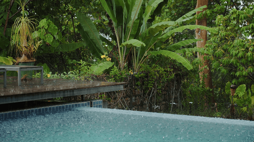 hidden forest home greenery jungle home house design seed martin haeger HL Design Group Bukit Antarabangsa Selangor Malaysia overgrown frameless glass doors sanctuary intimate nature outdoors privacy bungalow bungalow design layout blueprint plan unique unique homes family home swimming pool beach personal beach pavilion pond artist art paintings pottery architect architecture own home house tours calm biophilic design green granite waterfalls living room interior design transformation renovation guitar galvanized steel staircase open terrace sundeck tropical rain gutters overhanging roofs pitched roof double volume open jacuzzi master bedroom unique bathroom escape animals farm mini farm dogs cats chickens trees plants edibles outdoor jacuzzi outdoors cross ventilation loft bed art studio pottery room creativity entertainment space studio landscaping garden reserve forest natural ventilation sustainability space natural