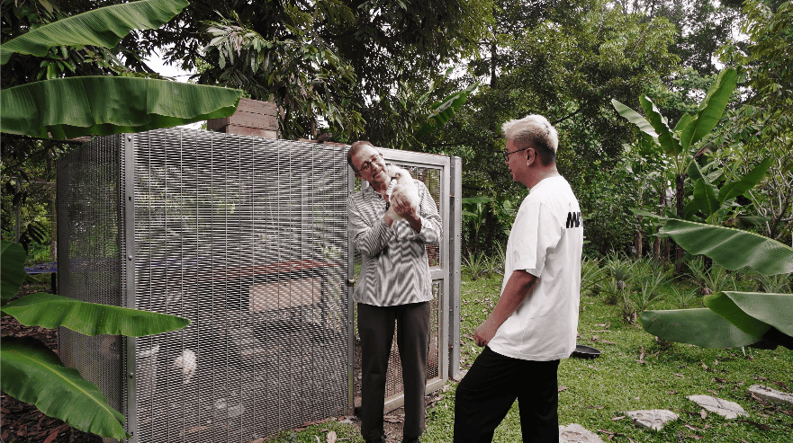 hidden forest home greenery jungle home house design seed martin haeger HL Design Group Bukit Antarabangsa Selangor Malaysia overgrown frameless glass doors sanctuary intimate nature outdoors privacy bungalow bungalow design layout blueprint plan unique unique homes family home swimming pool beach personal beach pavilion pond artist art paintings pottery architect architecture own home house tours calm biophilic design green granite waterfalls living room interior design transformation renovation guitar galvanized steel staircase open terrace sundeck tropical rain gutters overhanging roofs pitched roof double volume open jacuzzi master bedroom unique bathroom escape animals farm mini farm dogs cats chickens trees plants edibles outdoor jacuzzi outdoors cross ventilation loft bed art studio pottery room creativity entertainment space studio landscaping garden reserve forest natural ventilation sustainability space natural