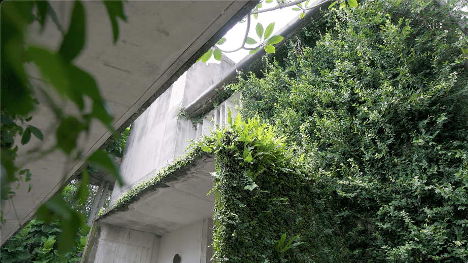 alex lee design seed tropical house transformation renovation construction landscape landscaping green greenery trees bungalow bungalow design mentahmatters design architect architecture urban city farm cheras lapan house shin chang neighbourhood facade trees ficus sandbrick walls layers fish pond garden privacy grid water feature pond fish pond grid canopy tall doors wood wooden doors foyer indoor outdoor divider workspace study materials honesty function steel structural slender durable low maintenance raw refined minimalist minimalism layout ideas interior design ideas craftsmanship two tier doors lower panel upper panel tropical house home house tour solid wood plywood living area double volume netting unique changes cantilevered kitchen area floor space open plan clarity experiment paulo mendes inspiration architectural build trees terazzo floor stainless steel ccountertop red brick kitchen industrial warm ventilation light natural light master bedroom unique beautiful eco friendly functional practical nature walk-in wardrobe cabinetry shared garden resources avocade garden farm community shared land extra land malaysia malaysian homes malaysian architecture