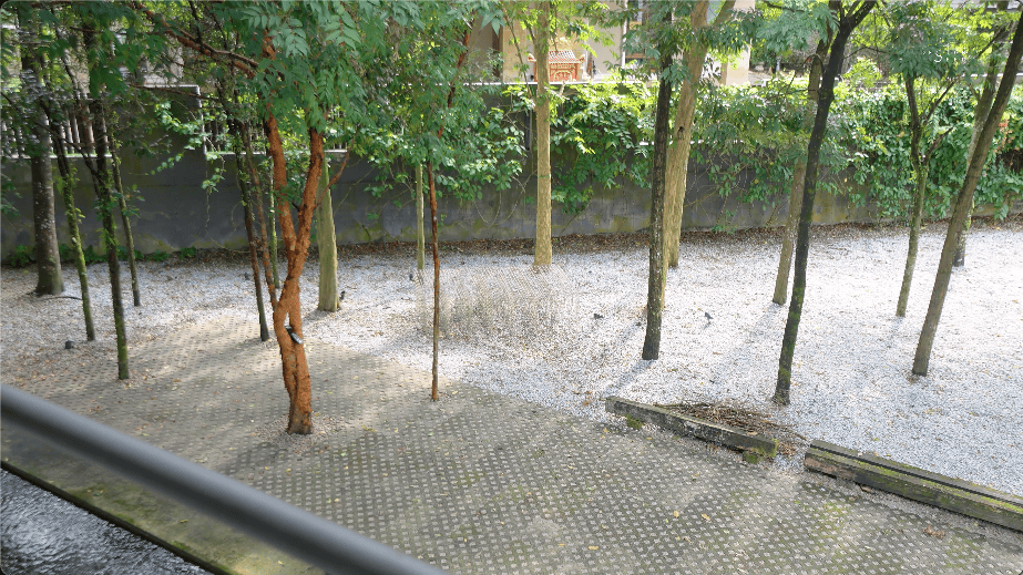 alex lee design seed tropical house transformation renovation construction landscape landscaping green greenery trees bungalow bungalow design mentahmatters design architect architecture urban city farm cheras lapan house shin chang neighbourhood facade trees ficus sandbrick walls layers fish pond garden privacy grid water feature pond fish pond grid canopy tall doors wood wooden doors foyer indoor outdoor divider workspace study materials honesty function steel structural slender durable low maintenance raw refined minimalist minimalism layout ideas interior design ideas craftsmanship two tier doors lower panel upper panel tropical house home house tour solid wood plywood living area double volume netting unique changes cantilevered kitchen area floor space open plan clarity experiment paulo mendes inspiration architectural build trees terazzo floor stainless steel ccountertop red brick kitchen industrial warm ventilation light natural light master bedroom unique beautiful eco friendly functional practical nature walk-in wardrobe cabinetry shared garden resources avocade garden farm community shared land extra land malaysia malaysian homes malaysian architecture