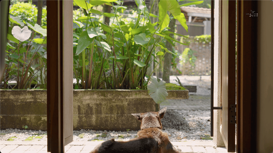 alex lee design seed tropical house transformation renovation construction landscape landscaping green greenery trees bungalow bungalow design mentahmatters design architect architecture urban city farm cheras lapan house shin chang neighbourhood facade trees ficus sandbrick walls layers fish pond garden privacy grid water feature pond fish pond grid canopy tall doors wood wooden doors foyer indoor outdoor divider workspace study materials honesty function steel structural slender durable low maintenance raw refined minimalist minimalism layout ideas interior design ideas craftsmanship two tier doors lower panel upper panel tropical house home house tour solid wood plywood living area double volume netting unique changes cantilevered kitchen area floor space open plan clarity experiment paulo mendes inspiration architectural build trees terazzo floor stainless steel ccountertop red brick kitchen industrial warm ventilation light natural light master bedroom unique beautiful eco friendly functional practical nature walk-in wardrobe cabinetry shared garden resources avocade garden farm community shared land extra land malaysia malaysian homes malaysian architecture