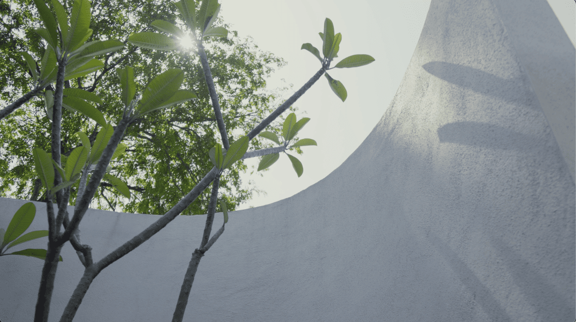 terrace house transformation design seed alex lee design interior design architecture architect Malaysia Malaysian houses terrace houses homes house tour family home winston paperspace two storey design kokun house project traffic privacy quiet highway wall noise barrier lifestyle old house renovation inspo ideas small home antique furniture laundry open plan diversity mixed family hidden room skylight louvre staircase light natural light daylight rooms study area master bedroom plants trees landscaping personal garden courtyard swimming pool tiles reflection calm resort feel facade curves kokun organic form concrete grasscrete sun direction grass terazzo red peranakan tiles floor plans layout unique stunning beautiful home modern homes challenges property