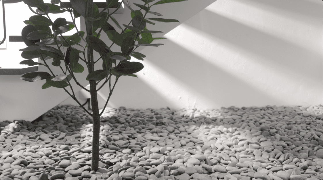 terrace house transformation design seed alex lee design interior design architecture architect Malaysia Malaysian houses terrace houses homes house tour family home winston paperspace two storey design kokun house project traffic privacy quiet highway wall noise barrier lifestyle old house renovation inspo ideas small home antique furniture laundry open plan diversity mixed family hidden room skylight louvre staircase light natural light daylight rooms study area master bedroom plants trees landscaping personal garden courtyard swimming pool tiles reflection calm resort feel facade curves kokun organic form concrete grasscrete sun direction grass terazzo red peranakan tiles floor plans layout unique stunning beautiful home modern homes challenges property