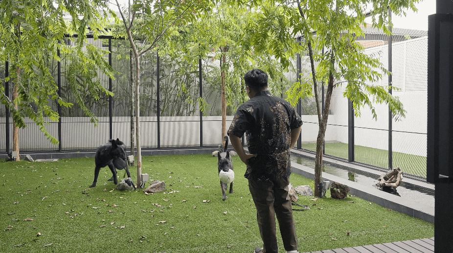 design seed alex lee interior design architecture architect core design workshop architecture architect tan chun hooi malaysia malaysian homes house renovation ideas interior design ideas design anthology never too small stacked homes home design construction transformation stunning tropical tropical living tropical homes courtyards garden herb garden louvers pet pet friendly pet spaces dog spaces dog enclosure dogs green master bathroom master bedroom ventilation slits full length windows slanted windows guest room timber staircase study work room landscape green sun orientation open bathroom design transparent sunlight outdoor kitchen outdoor spaces outdoor trees interlace courtyard spaces drone shots bungalow bungalow design house tour luxury minimalist modern contemporary plants family couple home living room play lawn grass