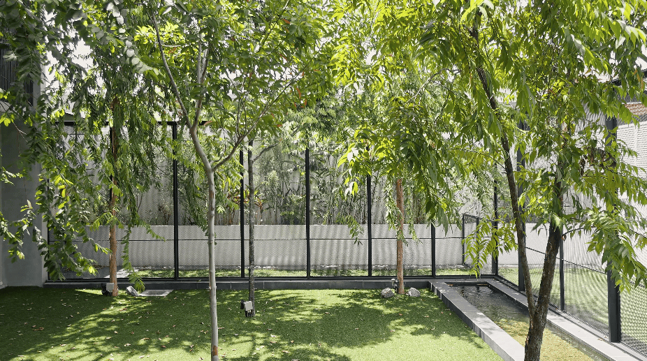 design seed alex lee interior design architecture architect core design workshop architecture architect tan chun hooi malaysia malaysian homes house renovation ideas interior design ideas design anthology never too small stacked homes home design construction transformation stunning tropical tropical living tropical homes courtyards garden herb garden louvers pet pet friendly pet spaces dog spaces dog enclosure dogs green master bathroom master bedroom ventilation slits full length windows slanted windows guest room timber staircase study work room landscape green sun orientation open bathroom design transparent sunlight outdoor kitchen outdoor spaces outdoor trees interlace courtyard spaces drone shots bungalow bungalow design house tour luxury minimalist modern contemporary plants family couple home living room play lawn grass