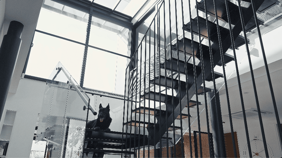 design seed alex lee interior design architecture architect core design workshop architecture architect tan chun hooi malaysia malaysian homes house renovation ideas interior design ideas design anthology never too small stacked homes home design construction transformation stunning tropical tropical living tropical homes courtyards garden herb garden louvers pet pet friendly pet spaces dog spaces dog enclosure dogs green master bathroom master bedroom ventilation slits full length windows slanted windows guest room timber staircase study work room landscape green sun orientation open bathroom design transparent sunlight outdoor kitchen outdoor spaces outdoor trees interlace courtyard spaces drone shots bungalow bungalow design house tour luxury minimalist modern contemporary plants family couple home living room play lawn grass