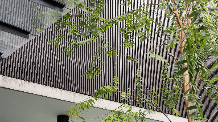 design seed alex lee interior design architecture architect core design workshop architecture architect tan chun hooi malaysia malaysian homes house renovation ideas interior design ideas design anthology never too small stacked homes home design construction transformation stunning tropical tropical living tropical homes courtyards garden herb garden louvers pet pet friendly pet spaces dog spaces dog enclosure dogs green master bathroom master bedroom ventilation slits full length windows slanted windows guest room timber staircase study work room landscape green sun orientation open bathroom design transparent sunlight outdoor kitchen outdoor spaces outdoor trees interlace courtyard spaces drone shots bungalow bungalow design house tour luxury minimalist modern contemporary plants family couple home living room play lawn grass