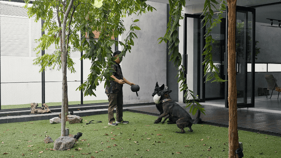 design seed alex lee interior design architecture architect core design workshop architecture architect tan chun hooi malaysia malaysian homes house renovation ideas interior design ideas design anthology never too small stacked homes home design construction transformation stunning tropical tropical living tropical homes courtyards garden herb garden louvers pet pet friendly pet spaces dog spaces dog enclosure dogs green master bathroom master bedroom ventilation slits full length windows slanted windows guest room timber staircase study work room landscape green sun orientation open bathroom design transparent sunlight outdoor kitchen outdoor spaces outdoor trees interlace courtyard spaces drone shots bungalow bungalow design house tour luxury minimalist modern contemporary plants family couple home living room play lawn grass