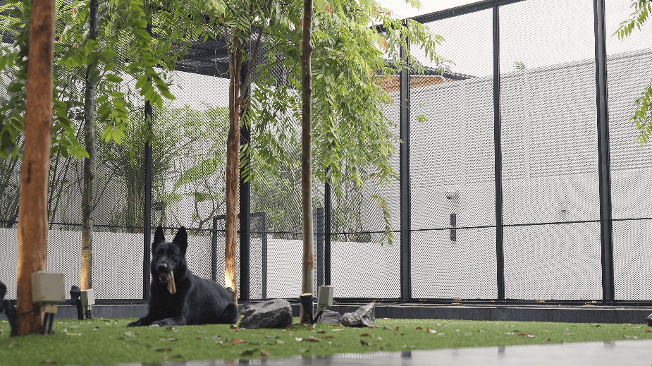 design seed alex lee interior design architecture architect core design workshop architecture architect tan chun hooi malaysia malaysian homes house renovation ideas interior design ideas design anthology never too small stacked homes home design construction transformation stunning tropical tropical living tropical homes courtyards garden herb garden louvers pet pet friendly pet spaces dog spaces dog enclosure dogs green master bathroom master bedroom ventilation slits full length windows slanted windows guest room timber staircase study work room landscape green sun orientation open bathroom design transparent sunlight outdoor kitchen outdoor spaces outdoor trees interlace courtyard spaces drone shots bungalow bungalow design house tour luxury minimalist modern contemporary plants family couple home living room play lawn grass