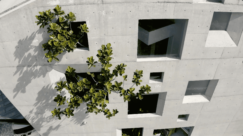 window house asia malaysia extraordinary house design seed alex lee formzero architect architecture luxury modern home house tour malaysian tropical greenery plants green eco friendly shell concrete family nature surroundings open minimalist bungalows mansion big expensive amazing beautiful