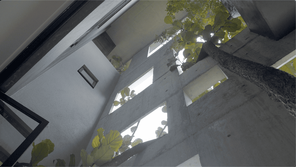 window house asia malaysia extraordinary house design seed alex lee formzero architect architecture luxury modern home house tour malaysian tropical greenery plants green eco friendly shell concrete family nature surroundings open minimalist bungalows mansion big expensive amazing beautiful