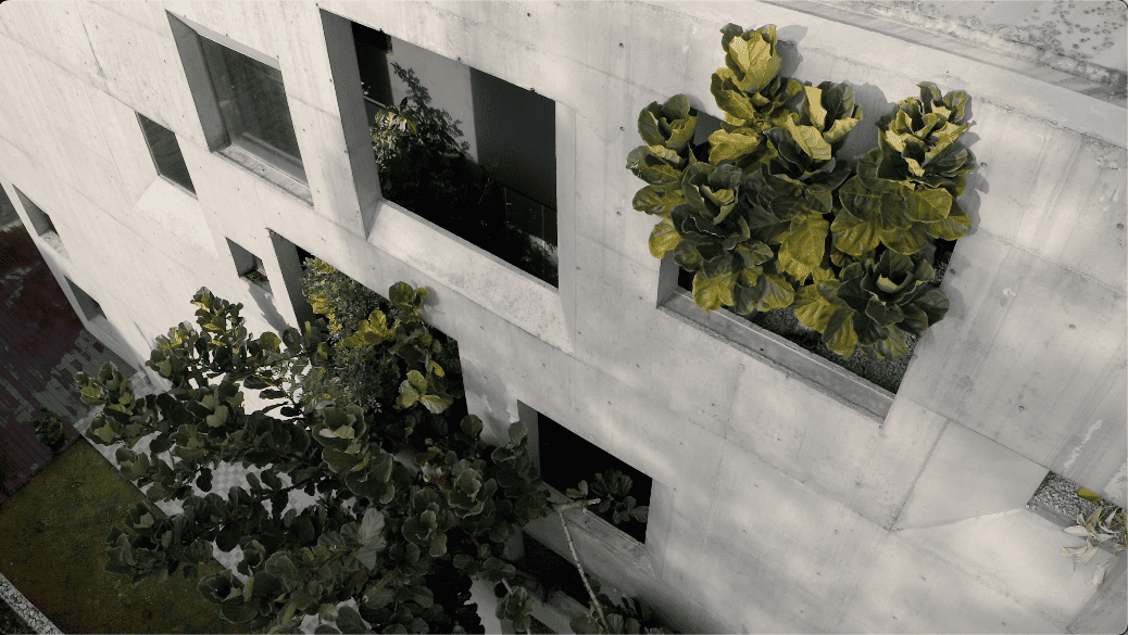 window house asia malaysia extraordinary house design seed alex lee formzero architect architecture luxury modern home house tour malaysian tropical greenery plants green eco friendly shell concrete family nature surroundings open minimalist bungalows mansion big expensive amazing beautiful