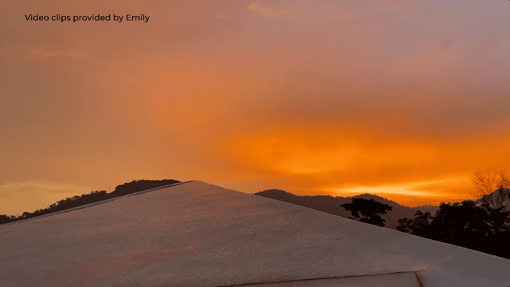 window house asia malaysia extraordinary house design seed alex lee formzero architect architecture luxury modern home house tour malaysian tropical greenery plants green eco friendly shell concrete family nature surroundings open minimalist bungalows mansion big expensive amazing beautiful