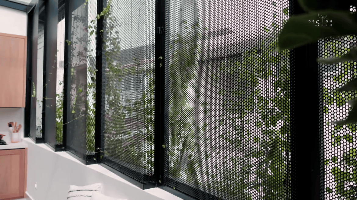 design seed nu infinity design interior design terrace house transformation home renovation makeover malaysia architecture design hobby car porsche ventilation light hobby interest coffee rooftop bathtub bathroom creeper landscape home tour house renovation inspo ideas scenery dining open outdoor greenery trees