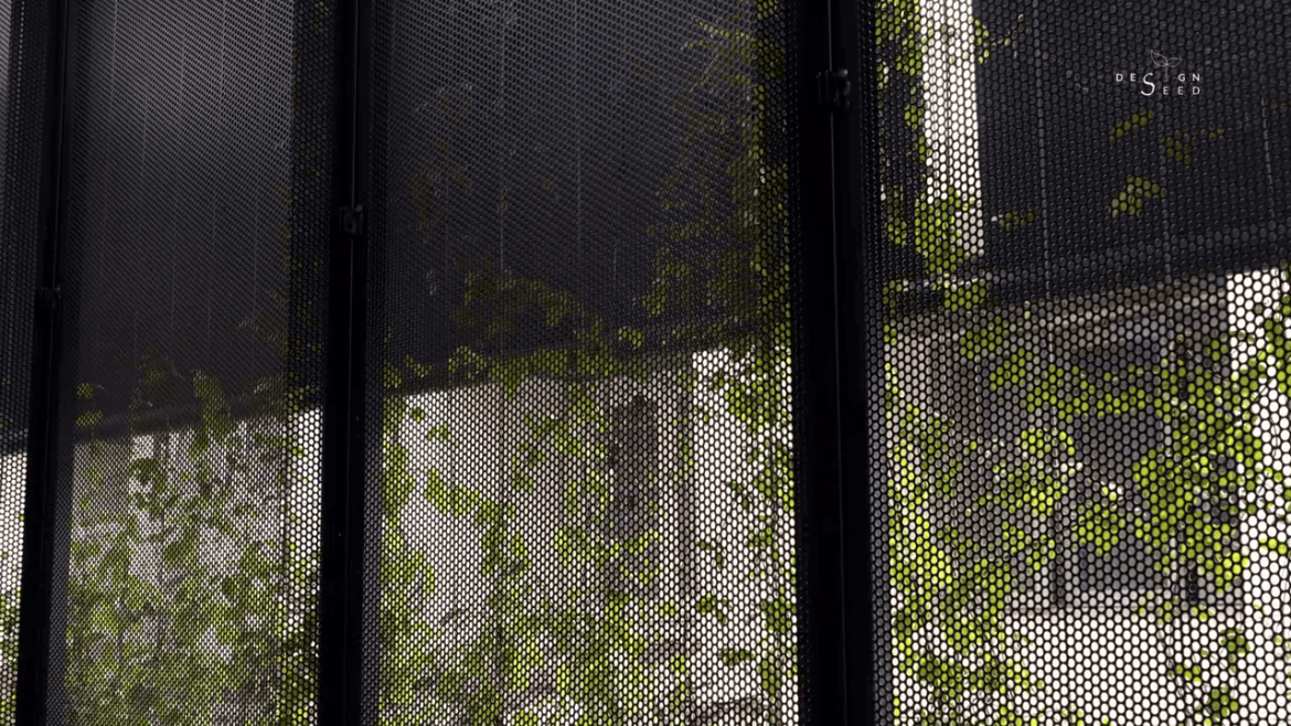 design seed nu infinity design interior design terrace house transformation home renovation makeover malaysia architecture design hobby car porsche ventilation light hobby interest coffee rooftop bathtub bathroom creeper landscape home tour house renovation inspo ideas scenery dining open outdoor greenery trees