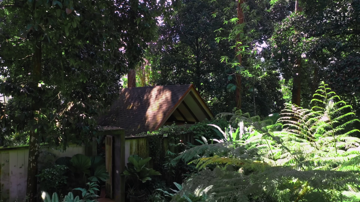 small garden, garden, villa, tiny house, tiny house garden, designseed, alex lee, retreat, tropical, garden villa, resort style villa, resort style, roof, nature, garden design, designer, tropical design,
