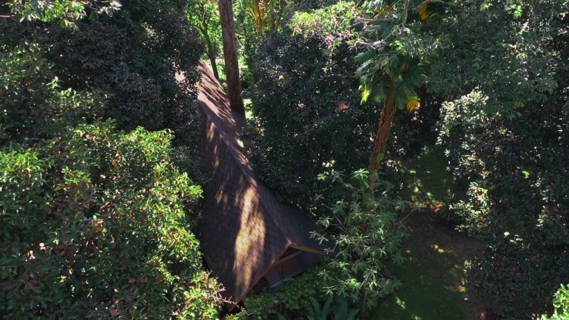 small garden, garden, villa, tiny house, tiny house garden, designseed, alex lee, retreat, tropical, garden villa, resort style villa, resort style, roof, nature, garden design, designer, tropical design,