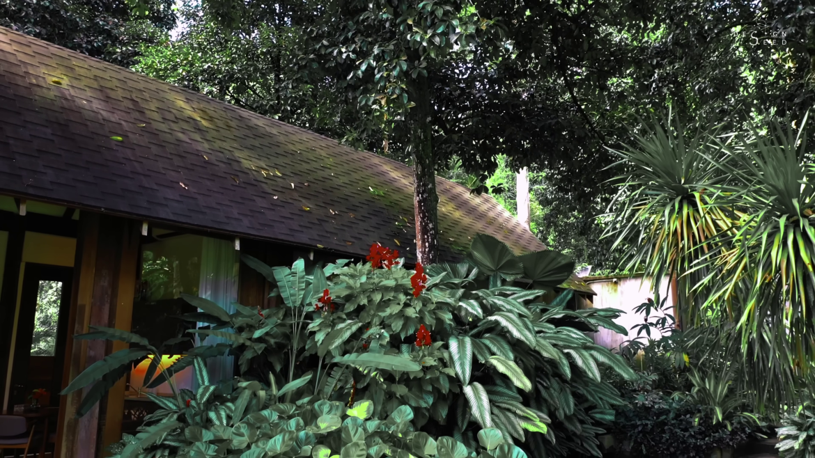 small garden, garden, villa, tiny house, tiny house garden, designseed, alex lee, retreat, tropical, garden villa, resort style villa, resort style, roof, nature, garden design, designer, tropical design,