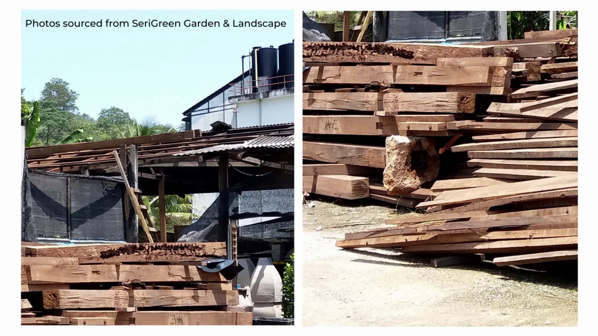 small garden, garden, villa, tiny house, tiny house garden, designseed, alex lee, retreat, tropical, garden villa, resort style villa, resort style, roof, nature, garden design, designer, tropical design,