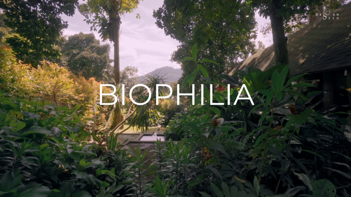 small garden, garden, villa, tiny house, tiny house garden, designseed, alex lee, retreat, tropical, garden villa, resort style villa, resort style, roof, nature, garden design, designer, tropical design,