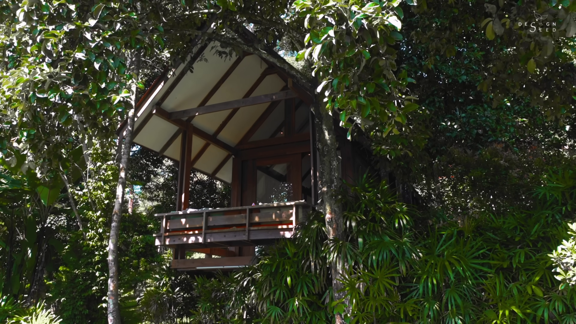 small garden, garden, villa, tiny house, tiny house garden, designseed, alex lee, retreat, tropical, garden villa, resort style villa, resort style, roof, nature, garden design, designer, tropical design,