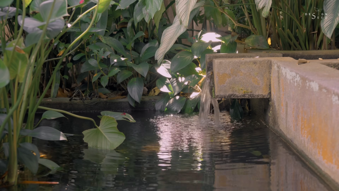 small garden, garden, villa, tiny house, tiny house garden, designseed, alex lee, retreat, tropical, garden villa, resort style villa, resort style, roof, nature, garden design, designer, tropical design,